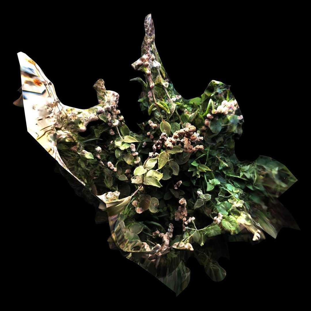 How Do We (Re)Connect To The Land project cover