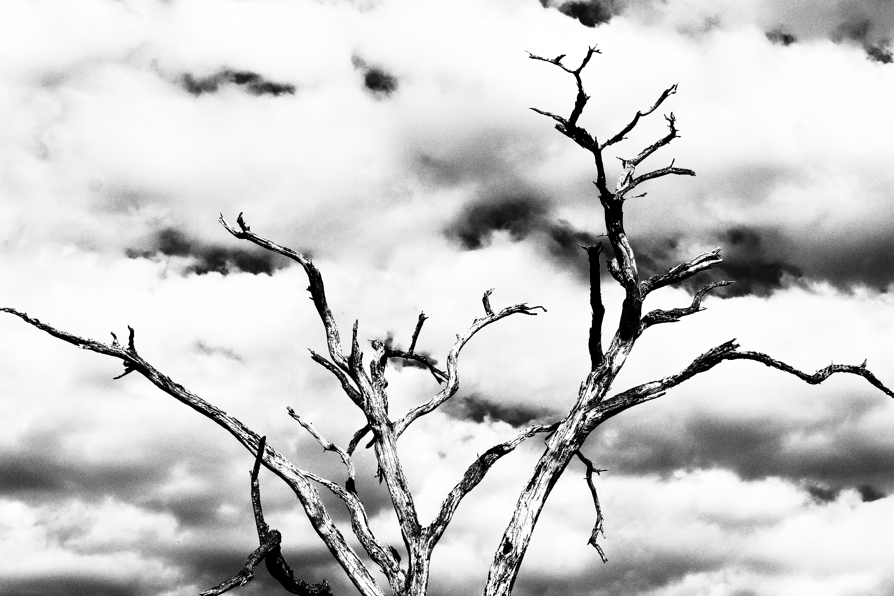 Tanzania project cover