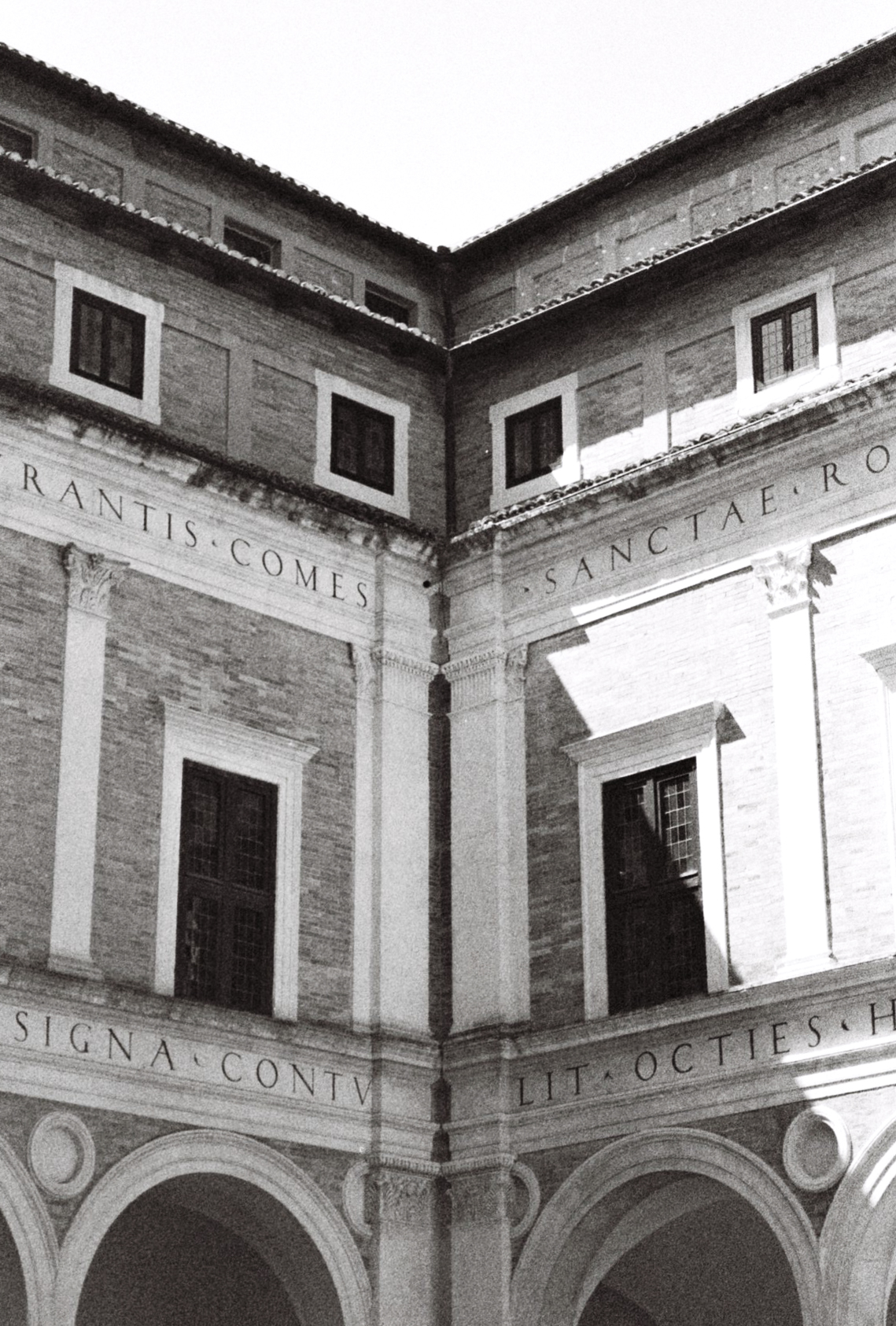 Marche project cover