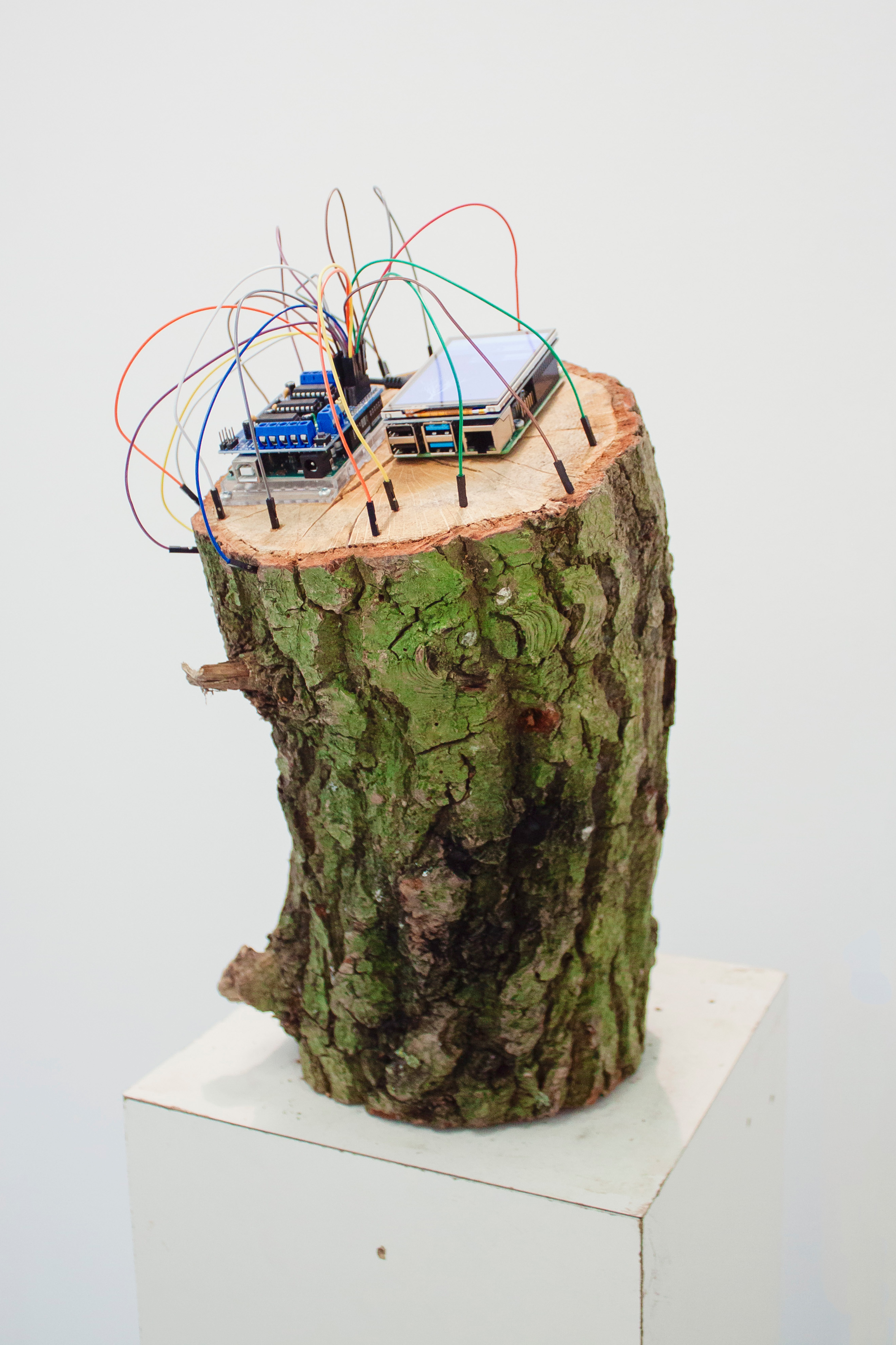 ArtificialReproduction-Cover