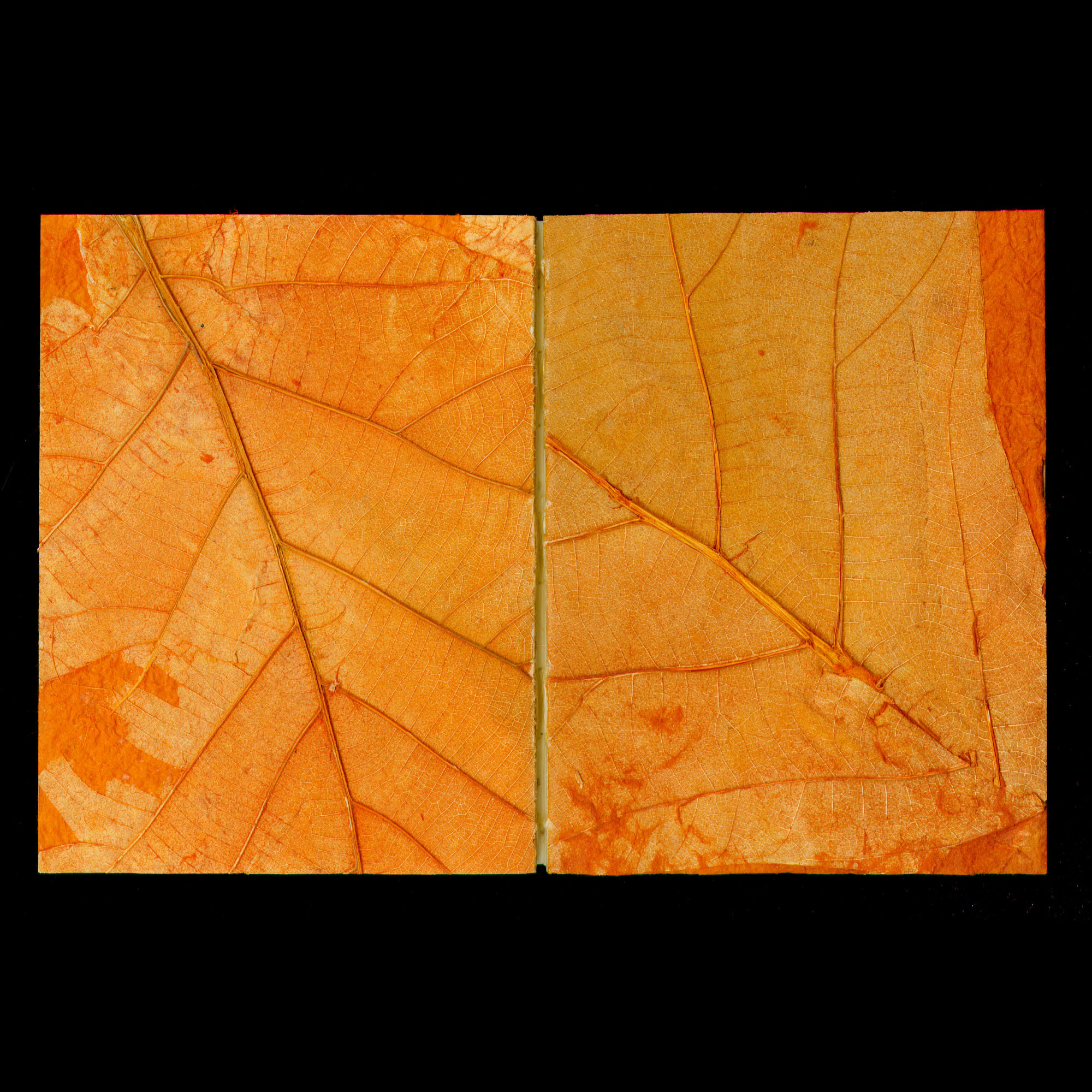 hetbestaanuitallen-cover